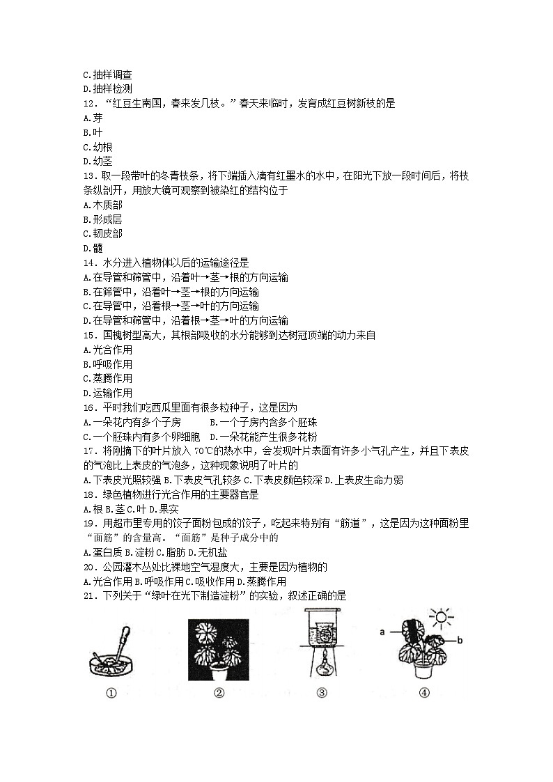 山东省威海市荣成市16校联盟（五四制）2022-2023学年六年级下学期期末考试生物试题（含答案）第2页