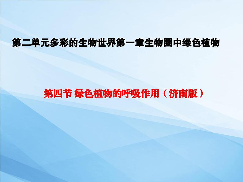 2.1.4绿色植物的呼吸作用课件2022--2023学年济南版生物七年级上册第2页