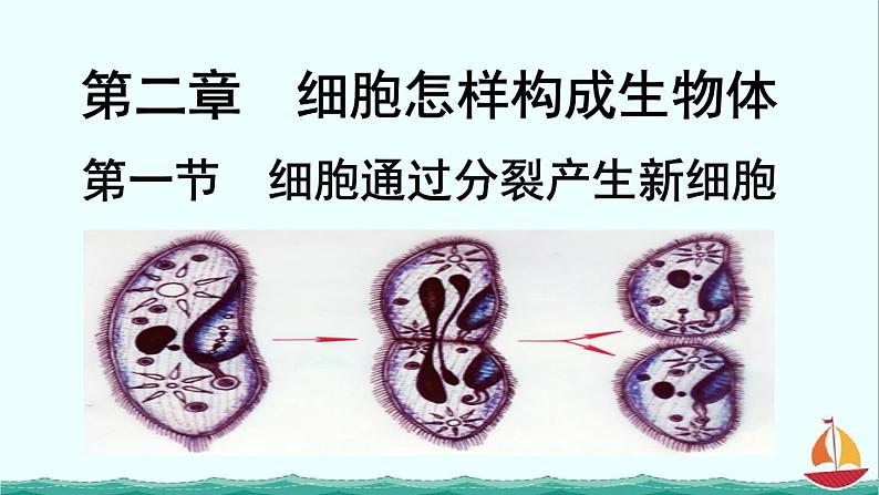 2.2.1细胞通过分裂产生新细胞课件PPT01