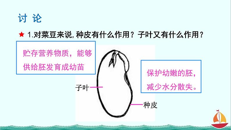 3.1.2种子植物课件PPT07