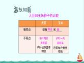 3.2.1种子的萌发课件PPT