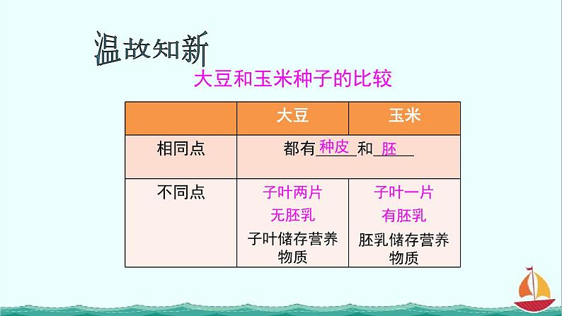 3.2.1种子的萌发课件PPT04