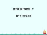 3.2.3开花和结果课件PPT