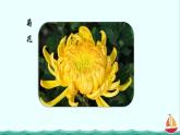 3.2.3开花和结果课件PPT