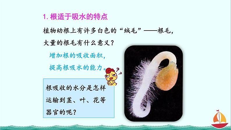 3.3绿色植物与生物圈的水循环课件PPT06