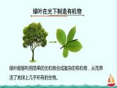 3.4绿色植物是生物圈中有机物的制造者课件PPT