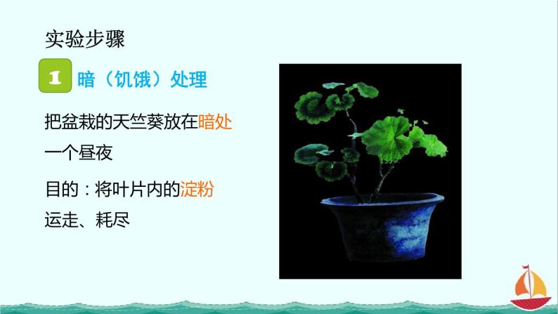 3.4绿色植物是生物圈中有机物的制造者课件PPT07