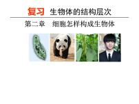 2023年八年级生物中考一轮复习课件：生物体的结构层次