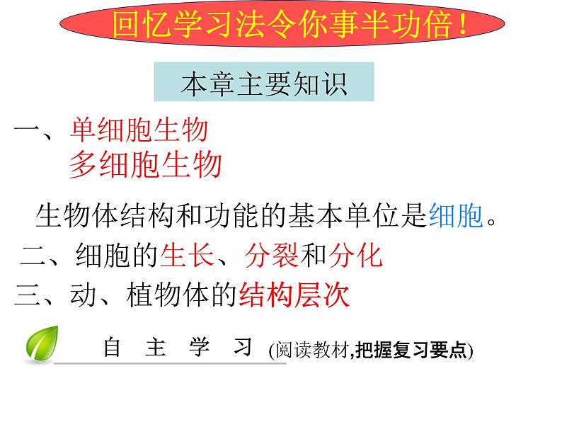 2023年八年级生物中考一轮复习课件：生物体的结构层次第2页