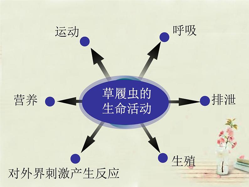 2023年八年级生物中考一轮复习课件：生物体的结构层次第5页