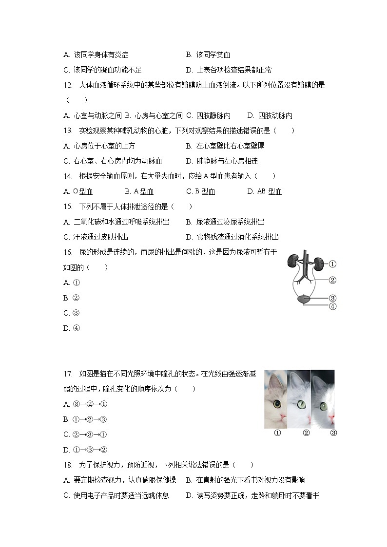 2022-2023学年天津市东丽区七年级（下）期末生物试卷（含解析）第3页