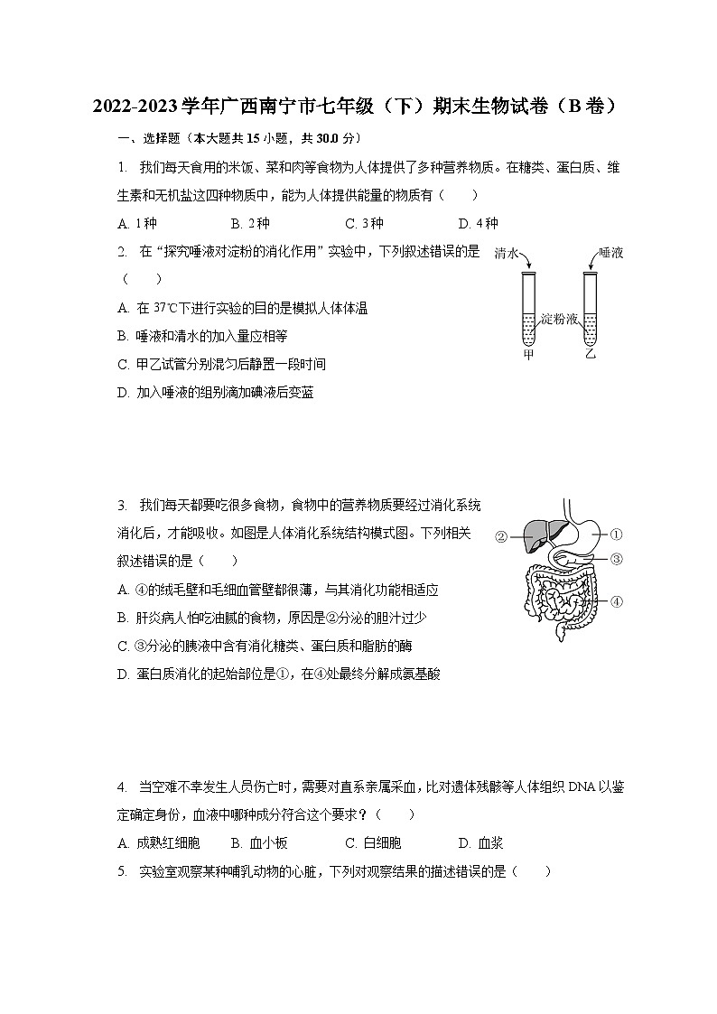 2022-2023学年广西南宁市七年级（下）期末生物试卷（B卷）（含解析）01
