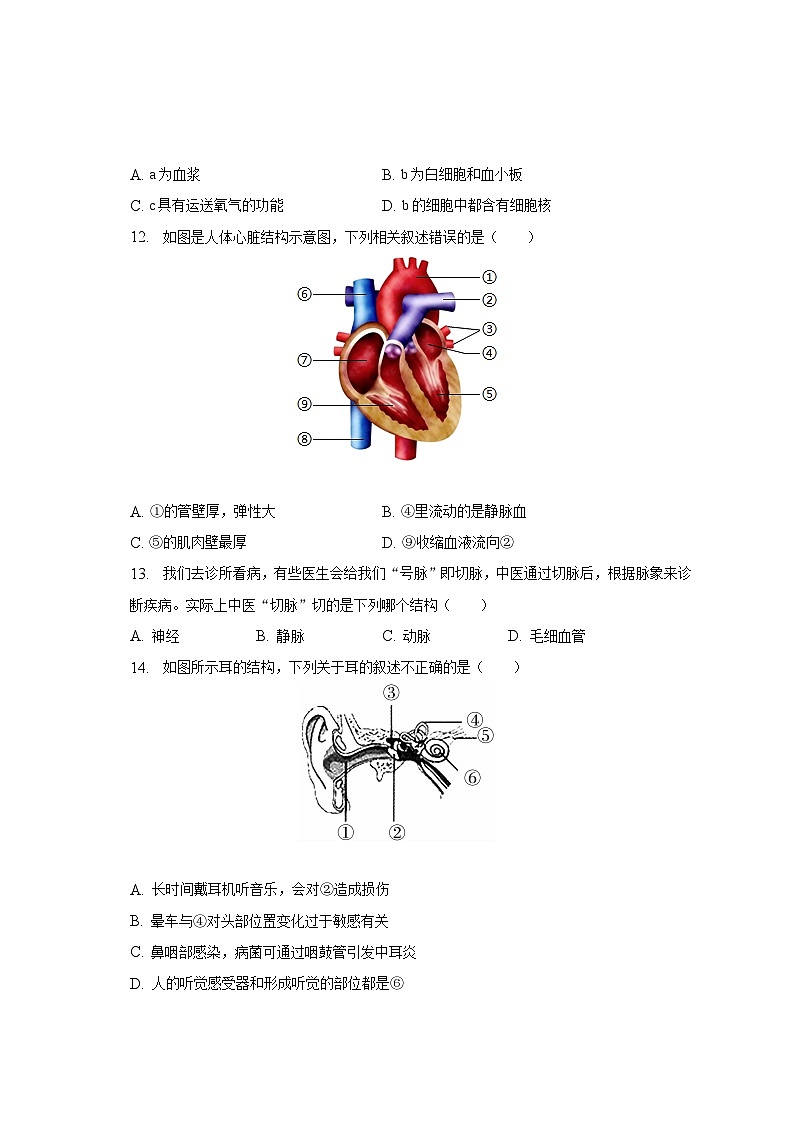 2022-2023学年河南省漯河市舞阳县七年级（下）期末生物试卷（含解析）03