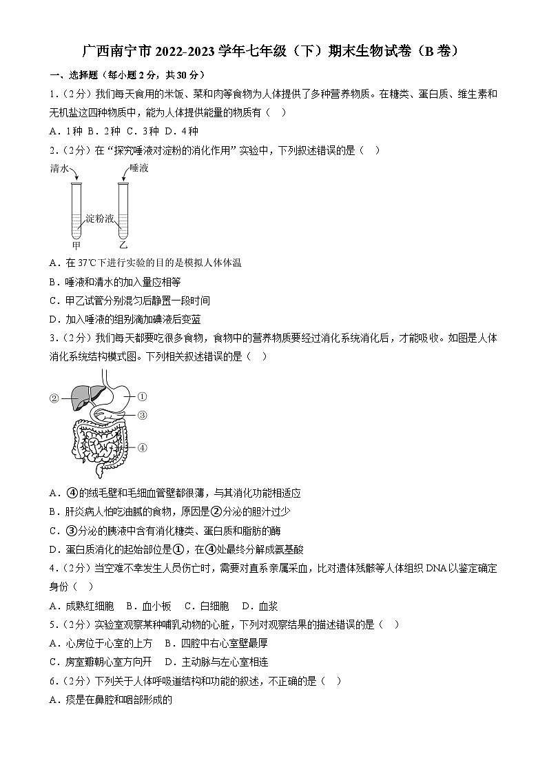 广西南宁市2022-2023学年七年级下学期期末生物试卷（B卷（含答案）01