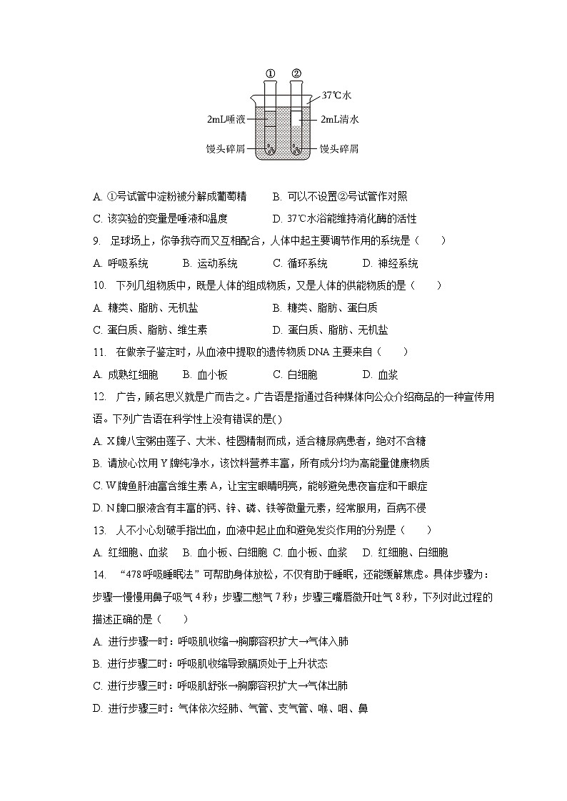 河南省洛阳市2022-2023学年七年级下学期期末生物试卷（含答案）02