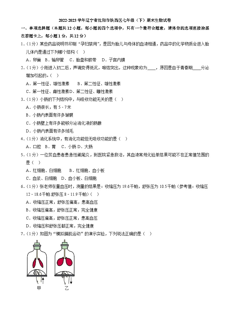辽宁省沈阳市铁西区2022-2023学年七年级下学期期末生物试卷（含答案）01