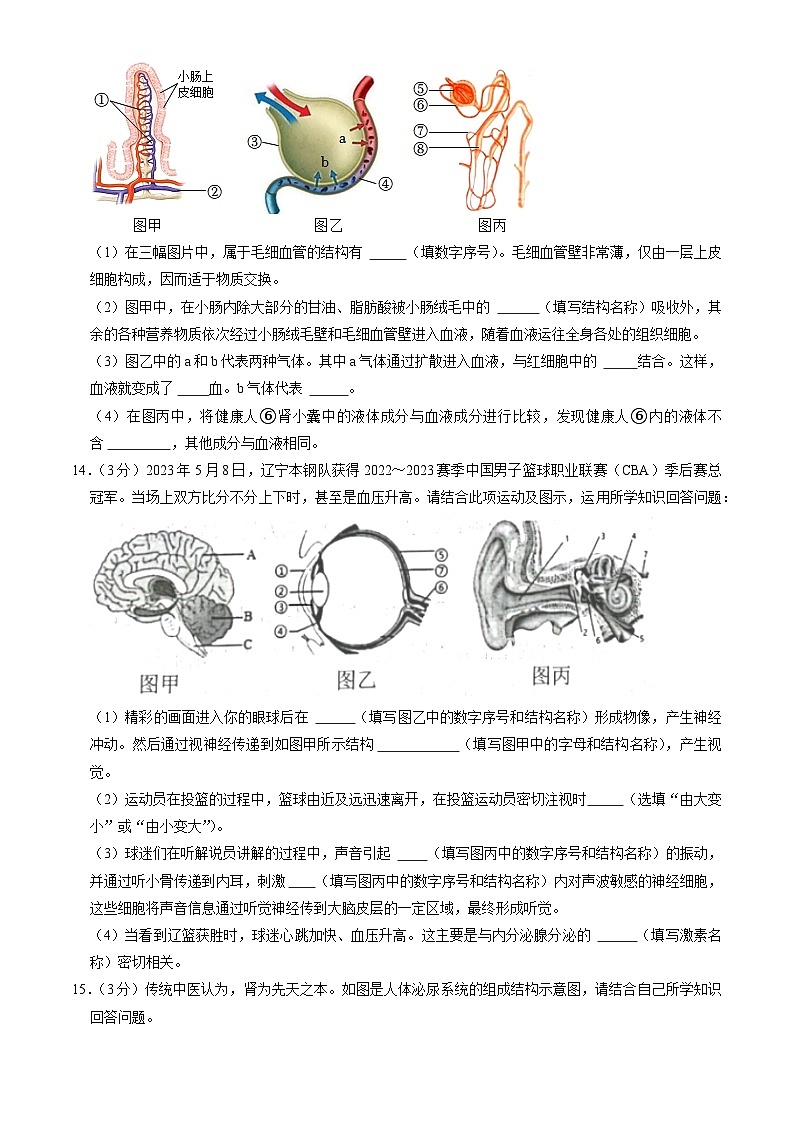 辽宁省沈阳市铁西区2022-2023学年七年级下学期期末生物试卷（含答案）第3页