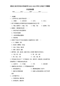 黑龙江省齐齐哈尔市讷河市2022-2023学年七年级下学期期末生物试题（含答案）