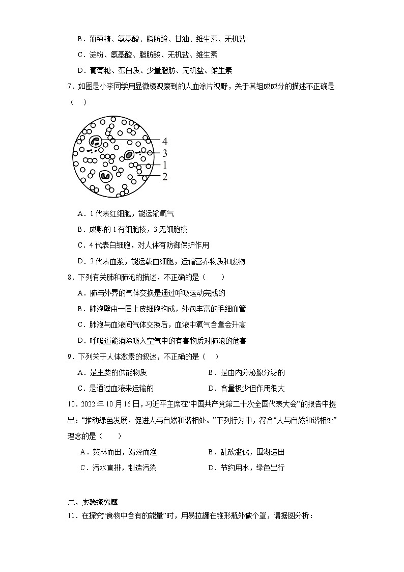 湖北省咸宁市嘉鱼县2022-2023学年七年级下学期期末生物试题（含答案）02