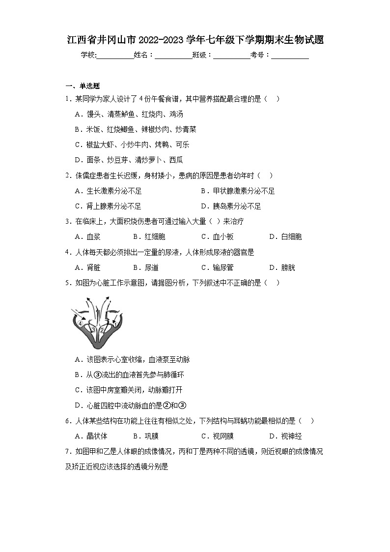 江西省井冈山市2022-2023学年七年级下学期期末生物试题（含答案）第1页