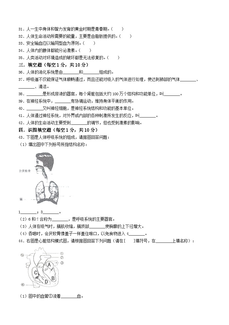 黑龙江省绥化市绥棱县2022-2023学年六年级下学期期末生物试题（含答案）第3页