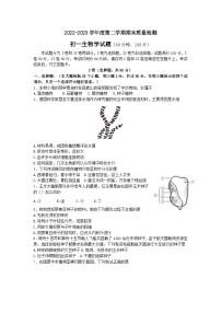 山东省烟台市牟平区（五四制）2022-2023学年六年级下学期期末考试生物试题（含答案）