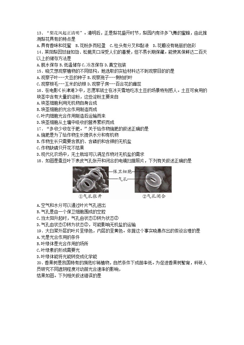 山东省烟台市牟平区（五四制）2022-2023学年六年级下学期期末考试生物试题（含答案）03