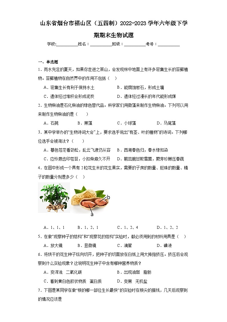 山东省烟台市福山区（五四制）2022-2023学年六年级下学期期末生物试题（含答案）第1页