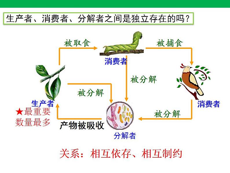 1.2.2 生物与环境组成生态系统课件PPT第8页