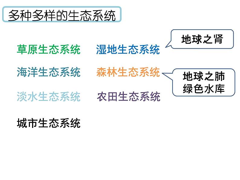 1.2.3生物圈是最大的生态系统课件PPT05