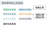 1.2.3生物圈是最大的生态系统课件PPT