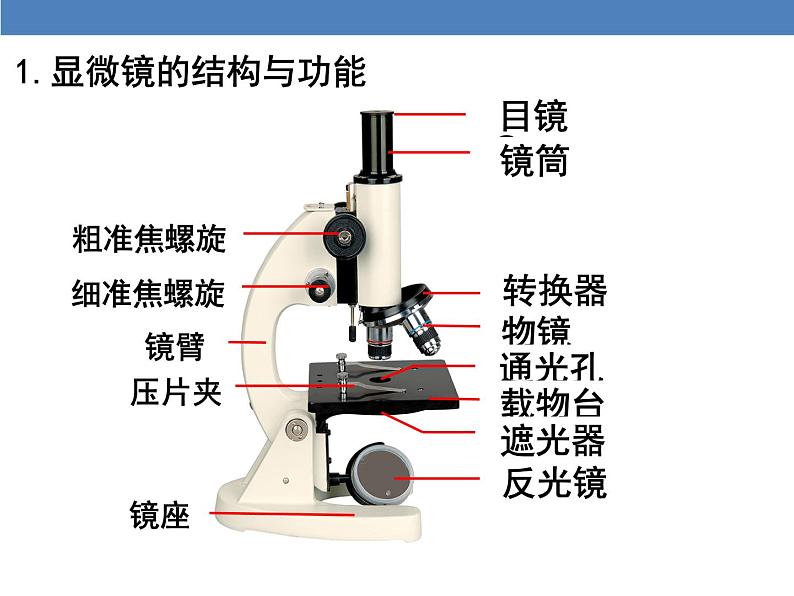 2.1.1 练习使用显微镜课件PPT第2页