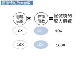 2.1.1 练习使用显微镜课件PPT
