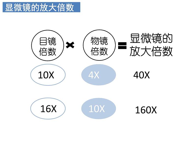 2.1.1 练习使用显微镜课件PPT第4页