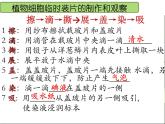 2.1.3 动物细胞课件PPT