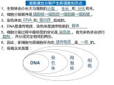 2.2.2 动物体的结构层次课件PPT