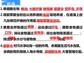 3.1.1 藻类、苔藓和蕨类植物课件PPT