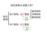 3.1.1 藻类、苔藓和蕨类植物课件PPT