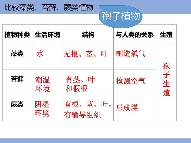 3.1.2 种子植物课件PPT第1页