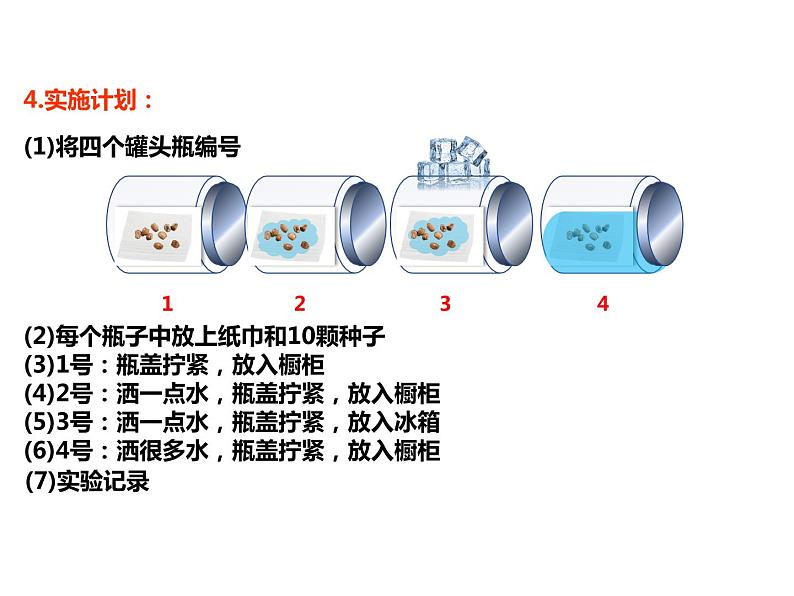 3.2.1 种子的萌发课件PPT07