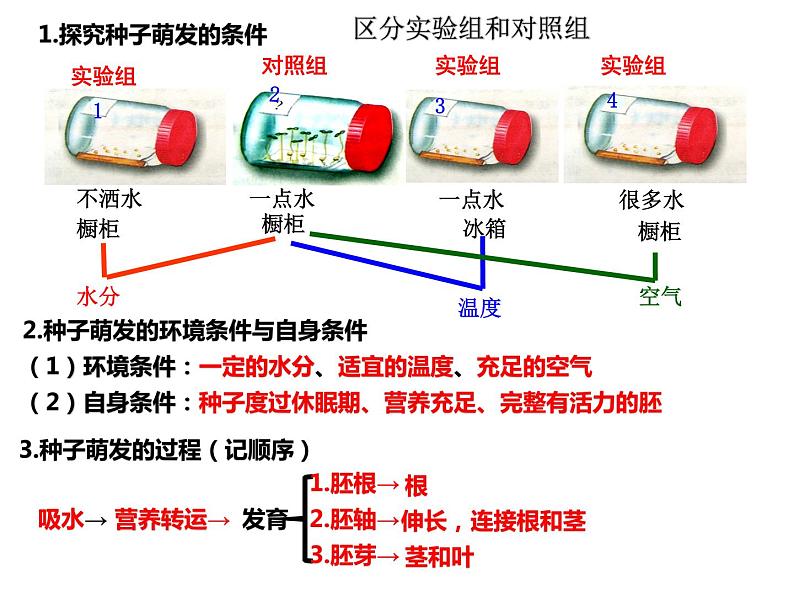 3.2.2 植株的生长课件PPT01