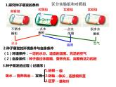 3.2.2 植株的生长课件PPT