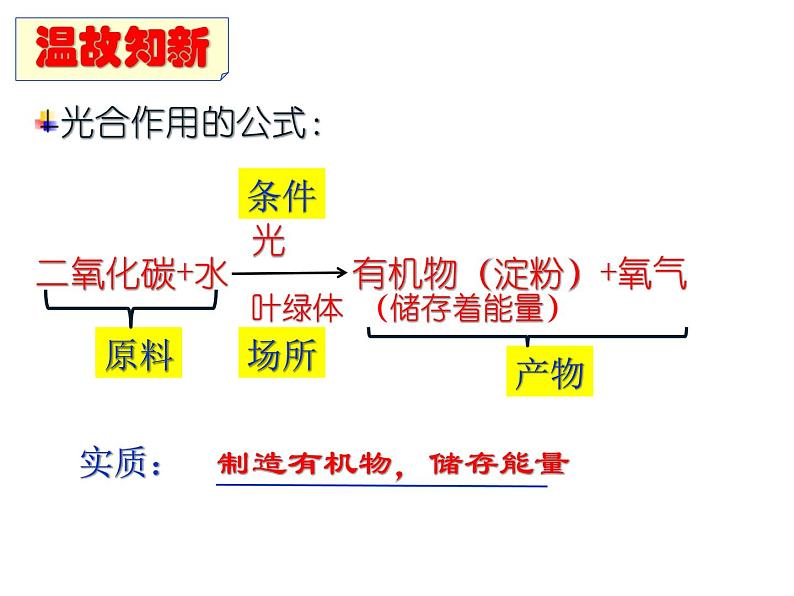 3.5.2绿色植物的呼吸作用 课件01