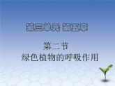 3.5.2绿色植物的呼吸作用 课件