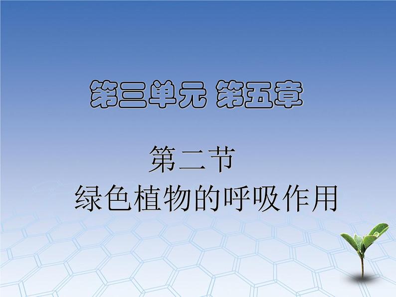 3.5.2绿色植物的呼吸作用 课件02