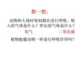 3.5.2绿色植物的呼吸作用 课件