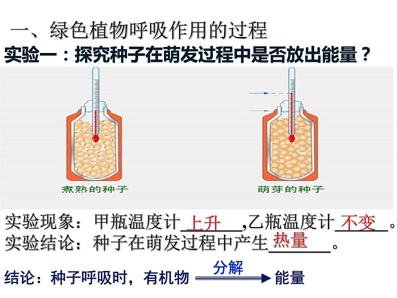 3.5.2绿色植物的呼吸作用 课件05