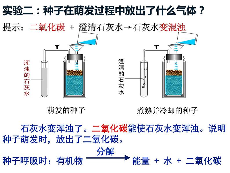 3.5.2绿色植物的呼吸作用 课件07