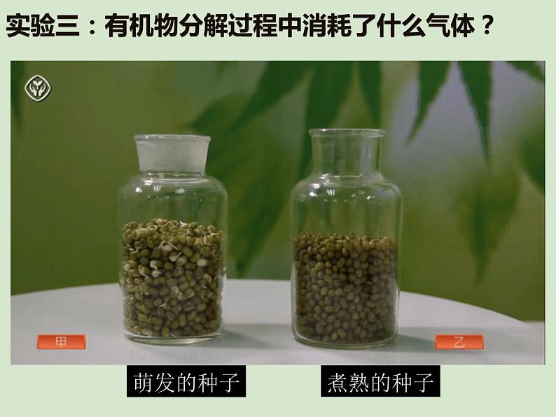 3.5.2绿色植物的呼吸作用 课件08