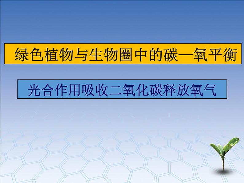 3.5.1 绿色植物与生物圈中的碳氧平衡课件PPT01